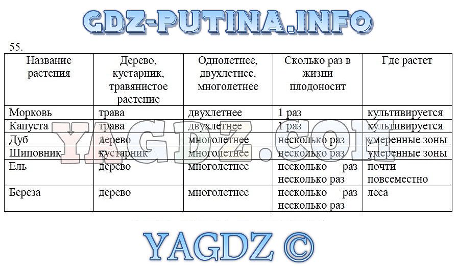 Марья гавриловна долго колебалась множество планов побега было отвергнуто гдз