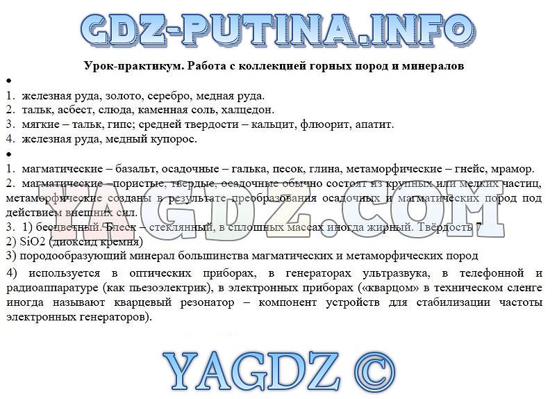 Урок практикум экскурсия в природу 5 класс география презентация