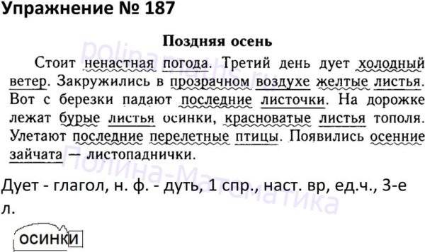 Камчатский бурый медведь сочинение 5 класс ладыженская по картине русский язык упр 643