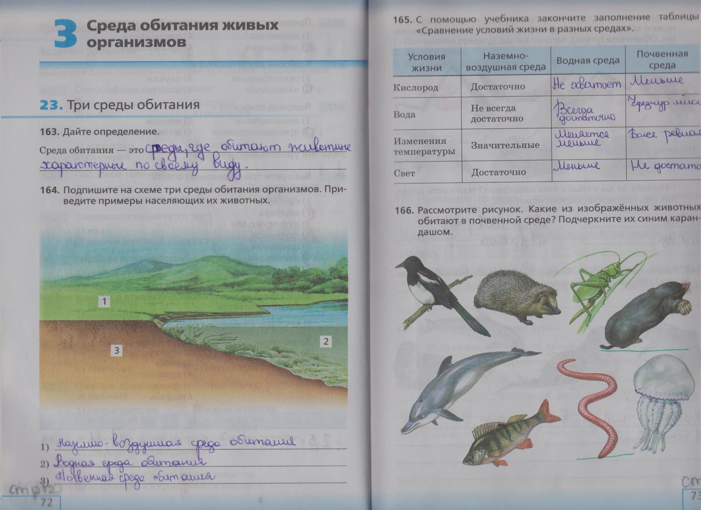 Рассмотрите животное изображенное на рисунке ответьте на вопросы в какой среде обитания живет волк