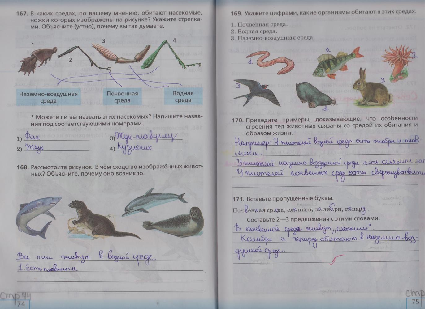 Решебник по биологии класс