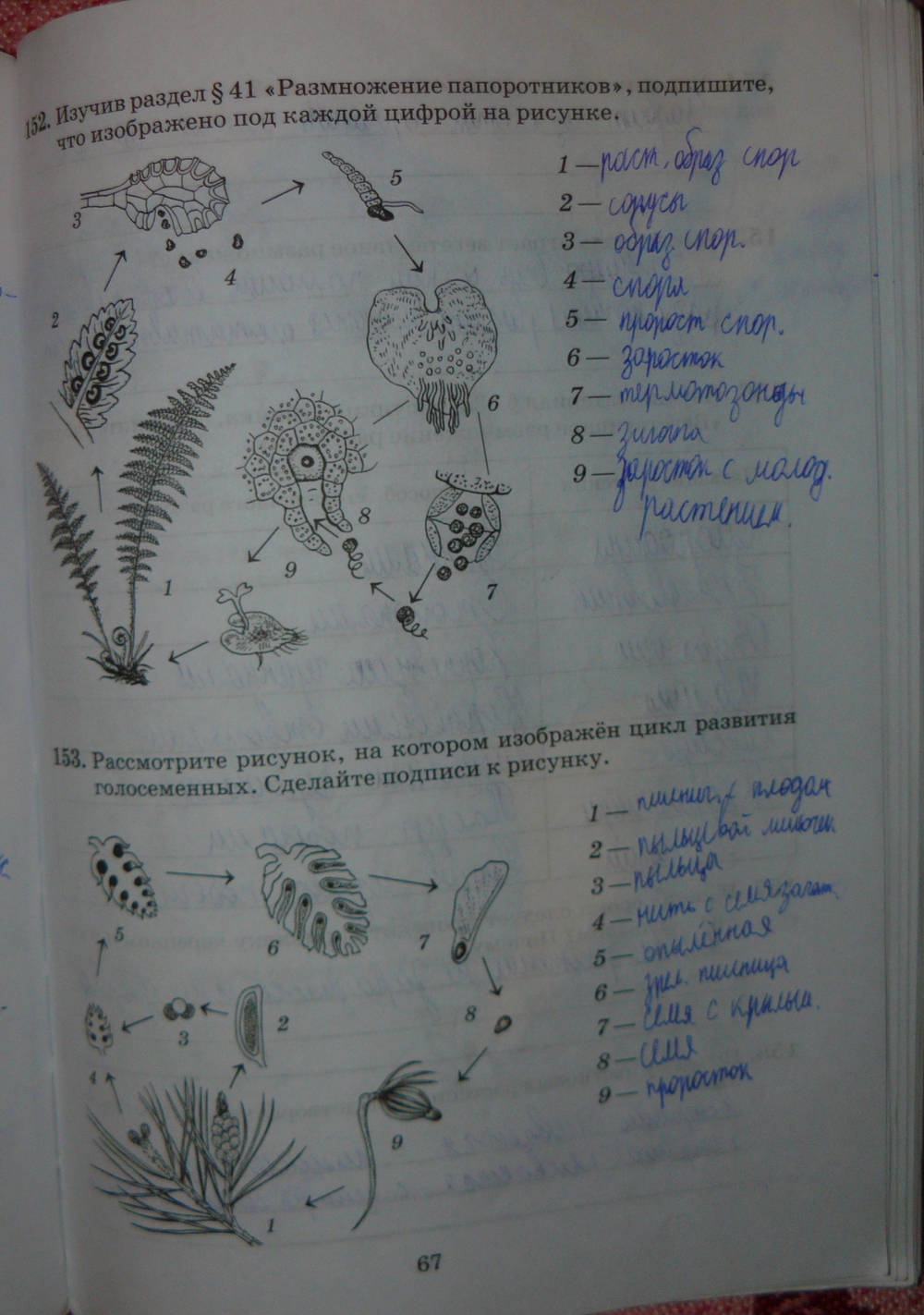 Подпишите цифры обозначенные на рисунке