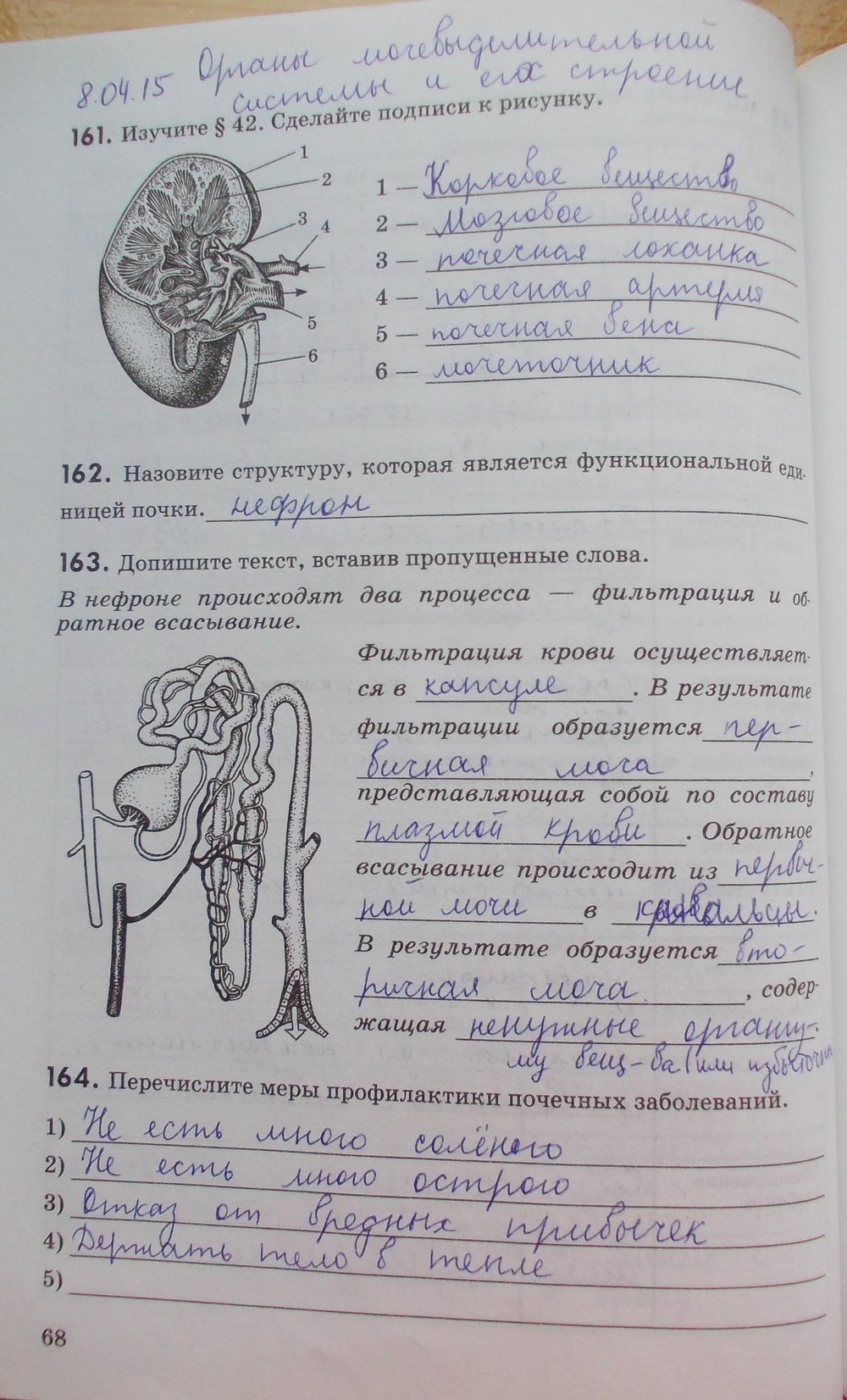 Сделай подписи к рисункам