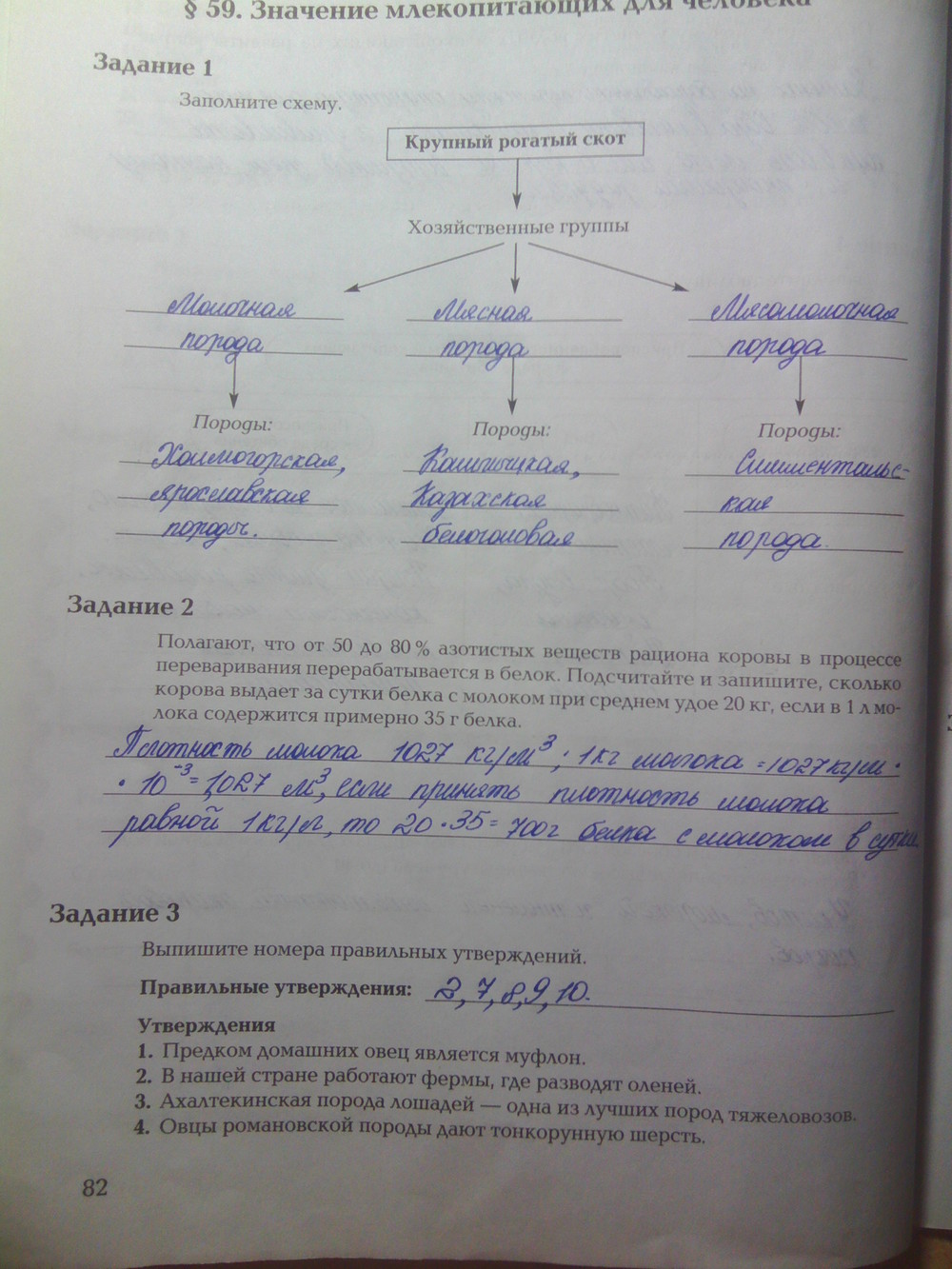 Заполните схему крупный рогатый скот хозяйственные группы