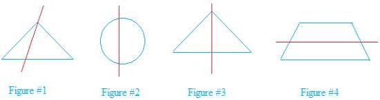 Lines-of-symmetry-image